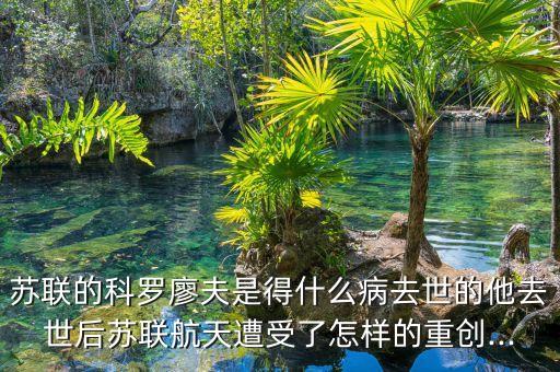 癌癥登月計劃 開放數據庫,美國癌癥登月計劃到何時結束