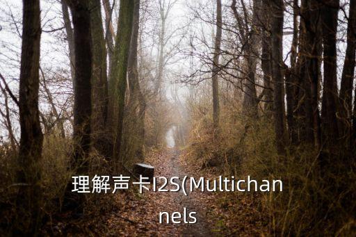i2s 數(shù)據(jù)測試,音頻測試:acsi2s比i2s好!