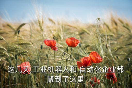 上海諾準(zhǔn)自動(dòng)化設(shè)備,華興諾自動(dòng)化設(shè)備