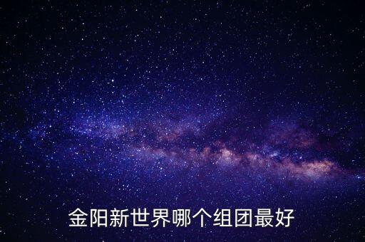 金陽新世界哪個組團最好