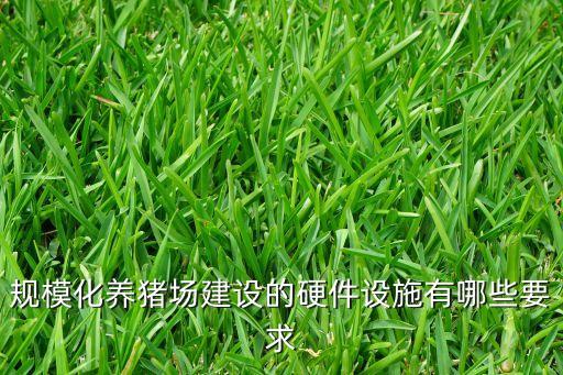 規(guī)模化養(yǎng)豬場建設的硬件設施有哪些要求
