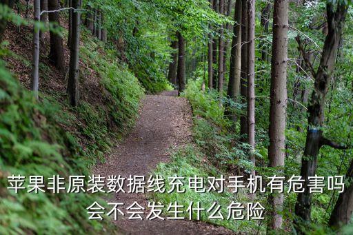 不是mfi的數(shù)據(jù)線會(huì),數(shù)據(jù)線壞了會(huì)不會(huì)影響充電?