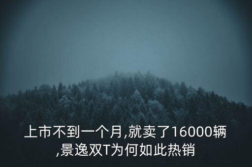 上市不到一個(gè)月,就賣了16000輛,景逸雙T為何如此熱銷