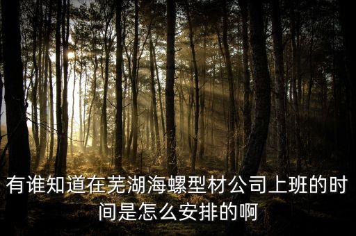 有誰知道在蕪湖海螺型材公司上班的時間是怎么安排的啊
