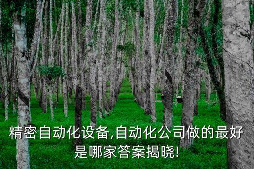鼎誠(chéng)精密自動(dòng)化設(shè)備,自動(dòng)化公司做的最好是哪家?答案揭曉!