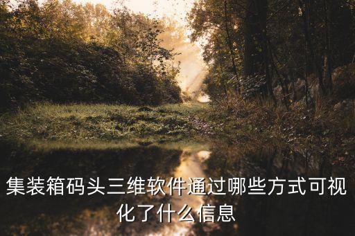 集裝箱碼頭三維軟件通過哪些方式可視化了什么信息
