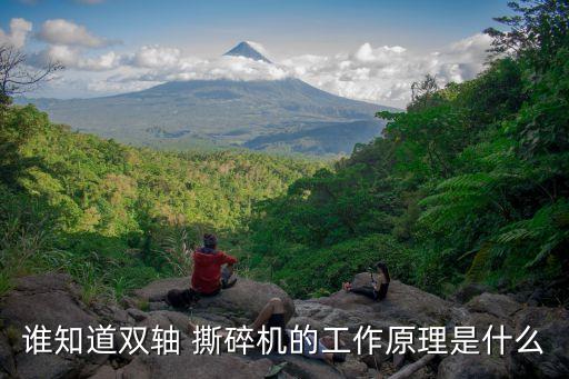 誰知道雙軸 撕碎機(jī)的工作原理是什么