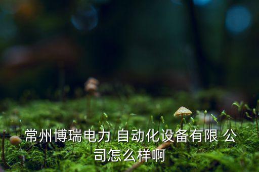  常州博瑞電力 自動(dòng)化設(shè)備有限 公司怎么樣啊