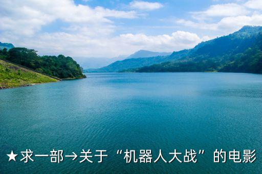 ★求一部→關(guān)于“機(jī)器人大戰(zhàn)”的電影