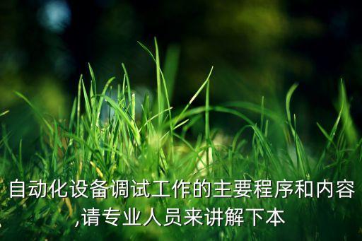 自動(dòng)化設(shè)備調(diào)試工作的主要程序和內(nèi)容,請(qǐng)專業(yè)人員來講解下本