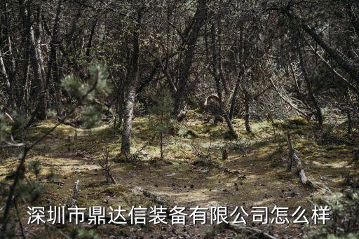深圳市鼎達(dá)信裝備有限公司怎么樣