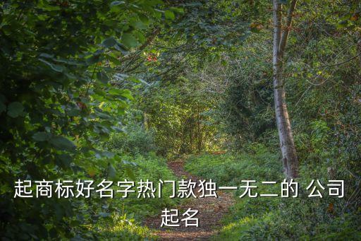 起商標(biāo)好名字熱門(mén)款獨(dú)一無(wú)二的 公司起名