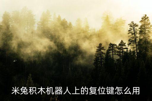 米兔積木機(jī)器人上的復(fù)位鍵怎么用