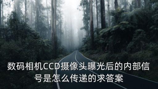 數(shù)碼相機CCD攝像頭曝光后的內部信號是怎么傳遞的求答案