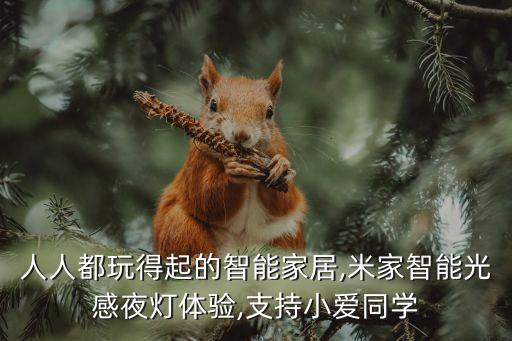 人人都玩得起的智能家居,米家智能光感夜燈體驗(yàn),支持小愛同學(xué)