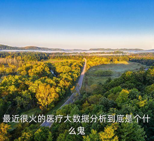 最近很火的醫(yī)療大數(shù)據(jù)分析到底是個什么鬼