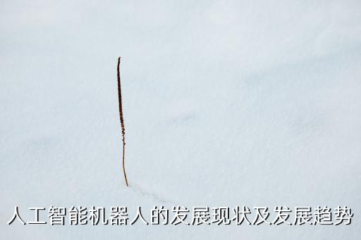 人工智能機(jī)器人的發(fā)展現(xiàn)狀及發(fā)展趨勢(shì)