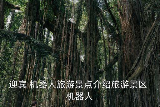 導(dǎo)購機(jī)器人用途,商場智能導(dǎo)購機(jī)器人