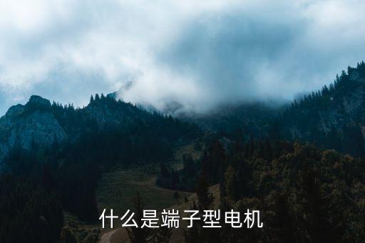 什么是端子型電機