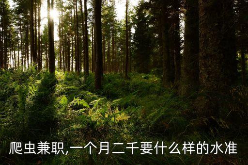 爬蟲兼職,一個月二千要什么樣的水準(zhǔn)