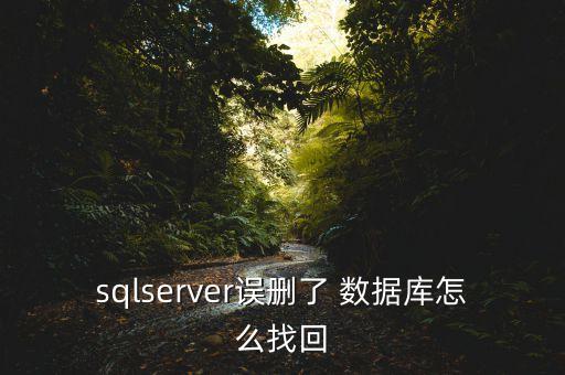 sqlserver誤刪了 數(shù)據(jù)庫怎么找回