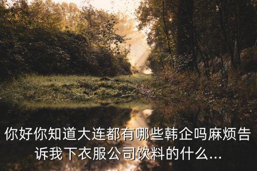 你好你知道大連都有哪些韓企嗎麻煩告訴我下衣服公司飲料的什么...