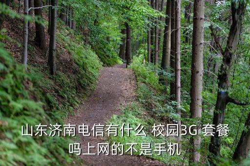 山東濟南電信有什么 校園3G 套餐嗎上網(wǎng)的不是手機