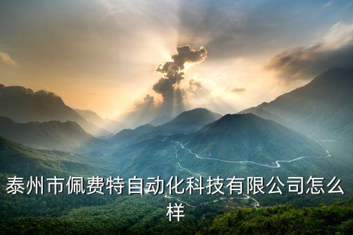 泰州市佩費(fèi)特自動(dòng)化科技有限公司怎么樣