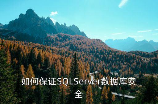sql數(shù)據(jù)庫安全,數(shù)據(jù)庫安全性問題應(yīng)包括兩個(gè)部分
