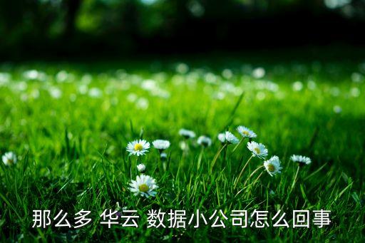 那么多 華云 數(shù)據(jù)小公司怎么回事