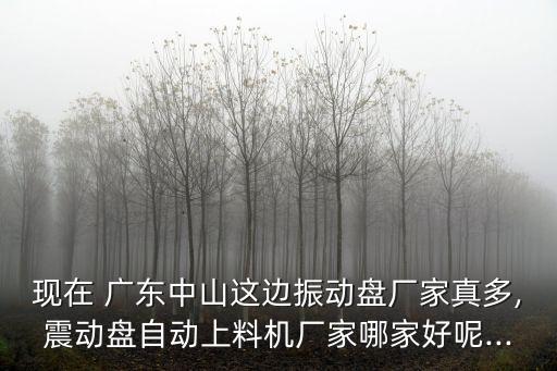 現(xiàn)在 廣東中山這邊振動盤廠家真多,震動盤自動上料機廠家哪家好呢...