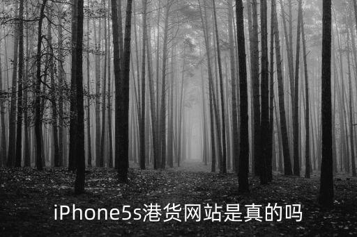 iPhone5s港貨網(wǎng)站是真的嗎