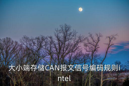 大小端存儲(chǔ)CAN報(bào)文信號(hào)編碼規(guī)則intel