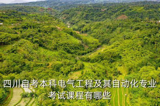 四川自考本科電氣工程及其自動(dòng)化專業(yè)考試課程有哪些