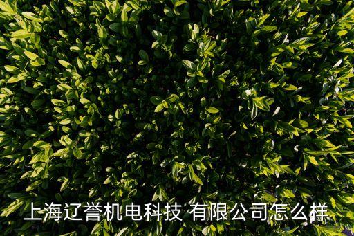 上海遼譽機電科技 有限公司怎么樣