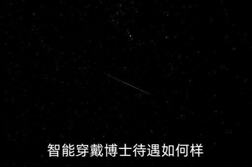 智能穿戴博士待遇如何樣