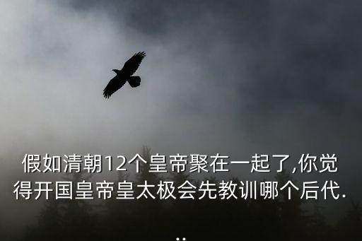 假如清朝12個(gè)皇帝聚在一起了,你覺(jué)得開(kāi)國(guó)皇帝皇太極會(huì)先教訓(xùn)哪個(gè)后代...