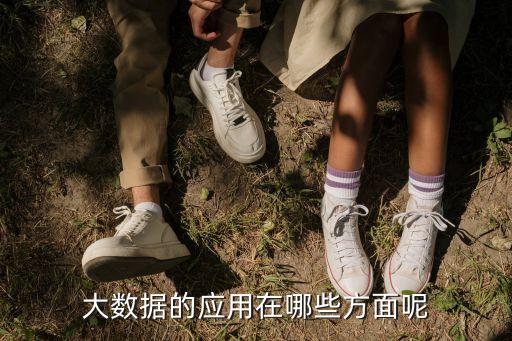 百度疾病預(yù)測(cè)大數(shù)據(jù),百度世界杯預(yù)測(cè)(ai大數(shù)據(jù)分析)