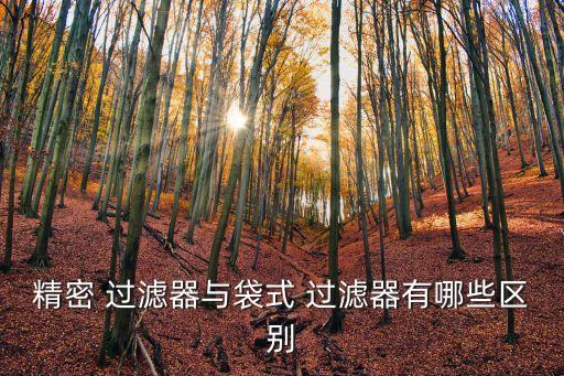 精密 過濾器與袋式 過濾器有哪些區(qū)別