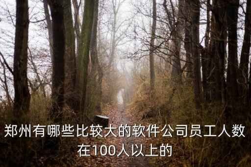 鄭州有哪些比較大的軟件公司員工人數(shù)在100人以上的