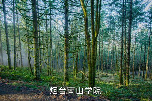 煙臺南山學(xué)院