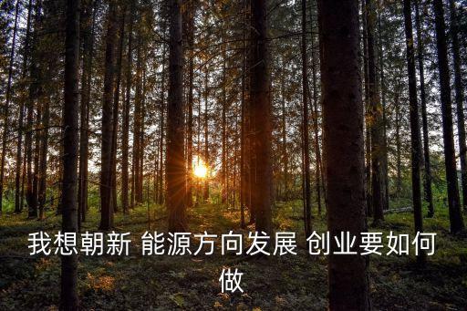 我想朝新 能源方向發(fā)展 創(chuàng)業(yè)要如何做