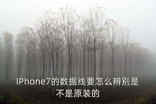 IPhone7的數(shù)據(jù)線要怎么辨別是不是原裝的