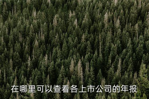 天眼查有多少企業(yè)數(shù)據(jù)