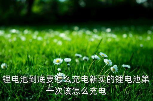 鋰電池到底要怎么充電新買的鋰電池第一次該怎么充電