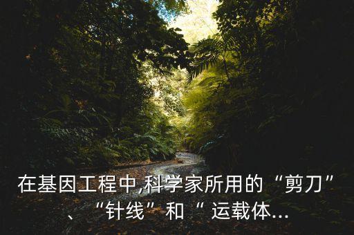 在基因工程中,科學家所用的“剪刀”、“針線”和“ 運載體...