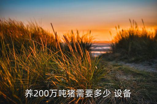 養(yǎng)200萬噸豬需要多少 設(shè)備