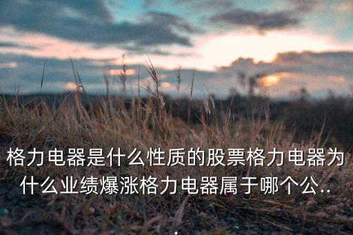 格力電器是什么性質(zhì)的股票格力電器為什么業(yè)績爆漲格力電器屬于哪個(gè)公...