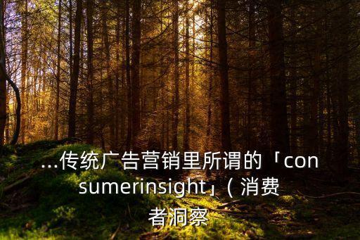 ...傳統(tǒng)廣告營銷里所謂的「consumerinsight」( 消費(fèi)者洞察