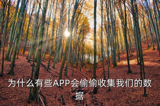 為什么有些APP會(huì)偷偷收集我們的數(shù)據(jù)